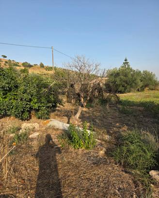 Terreno - Caltagirone