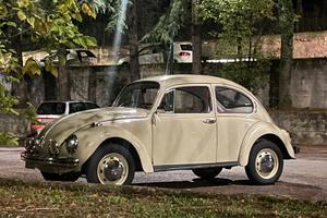 Maggiolone/maggiolino