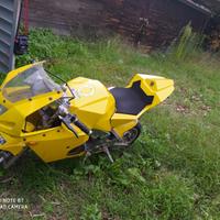 Moto ovale  (mini moto) 50