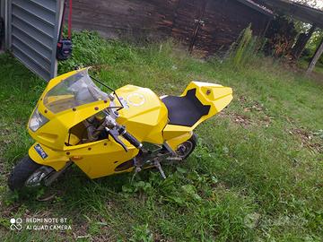 Moto ovale  (mini moto) 50