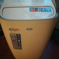 pinguino condizionatore 