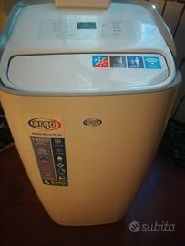 pinguino condizionatore 