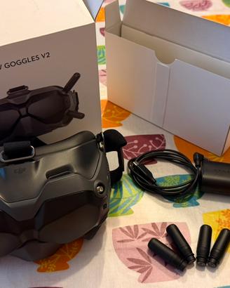 Dji fpv goggles v2
