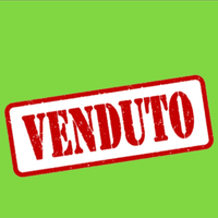 Cucciolo di Bulldog Francese Bouledogue Bull Dog