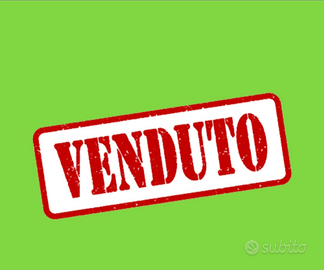 Cucciolo di Bulldog Francese Bouledogue Bull Dog