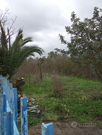 Terreno agricolo irriguo