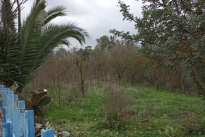 Terreno agricolo irriguo