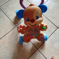 cagnolino primi passi