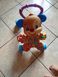 cagnolino primi passi