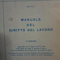 MANUALE DEL DIRITTO DEL LAVORO