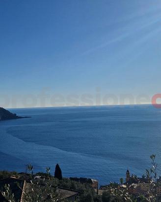 Appartamento Camogli [Cod. rif 3344725VRG]