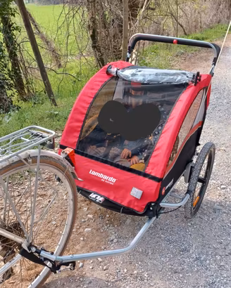 rimorchio per bicicletta per  bambini 