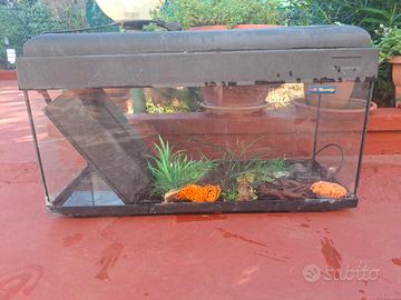 acquario 
