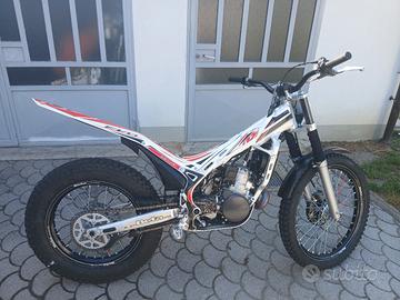 beta trial evo 290