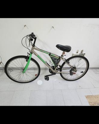 bici da uomo 