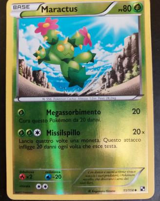 Maractus Holo Reverse Black and White 