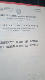 Motore Mercury nautico