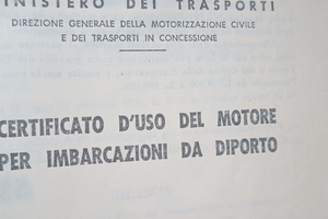 Motore Mercury nautico