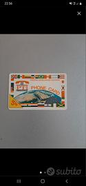 Scheda telefonica ricarica Phone Card