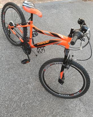 Bici Casadei misura 24