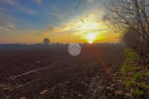 TER. AGRICOLO A CARAVAGGIO