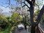 Immagine 29
