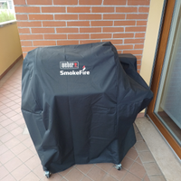 Barbecue a Pellet Weber EX4 GBS
