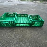 CASSETTE PIEGHEVOLI VERDI