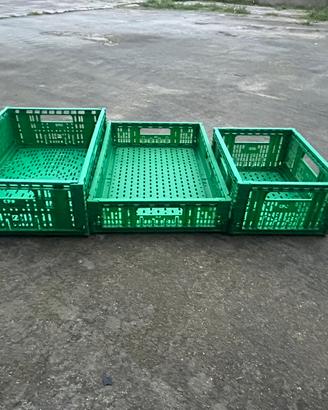 CASSETTE PIEGHEVOLI VERDI
