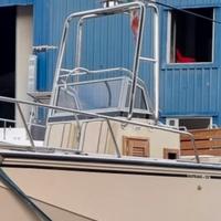 Roll bar - Boston Whaler 22 outrage