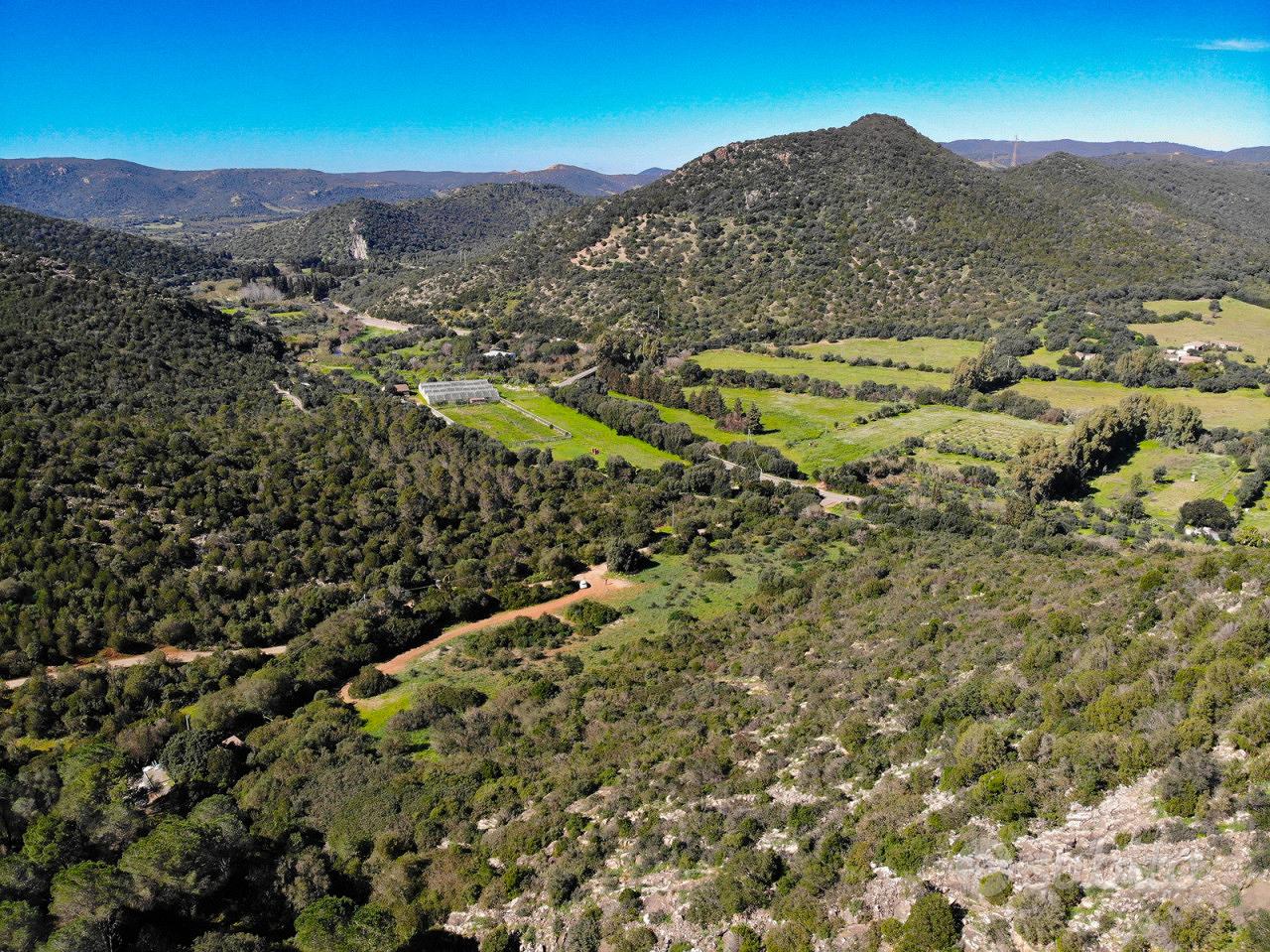 Area verde a Teulada - Vista 5