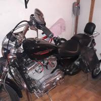 Harley-Davidson Sportster 883 - 2005