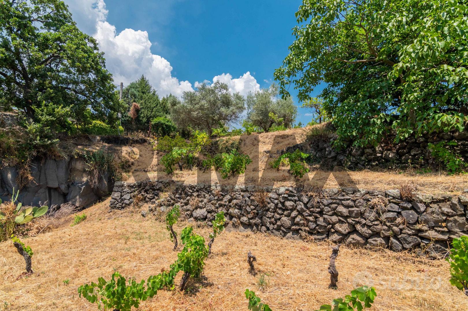 Terreno - Trecastagni - Vista 5