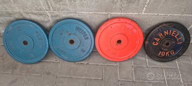 dischi pesistica da 10 kg cadauno 