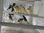 Immagine 2