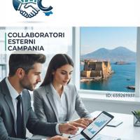 collaboratori esterni 