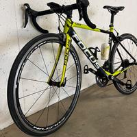 Bici Focus Cayo