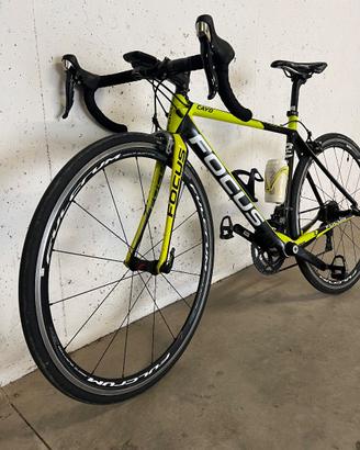 Bici Focus Cayo