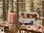 Immagine 29