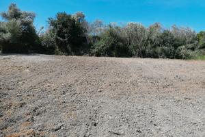 Terreno agro a Sorso