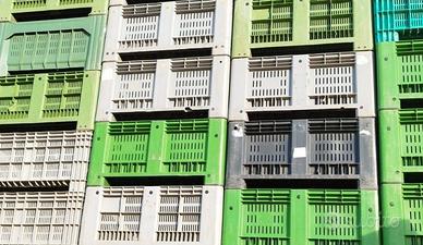 Bins - Cassoni Plastica