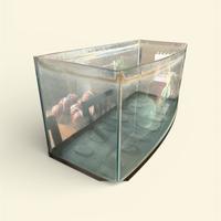 ACQUARIO 100 litri