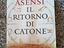 Immagine 2