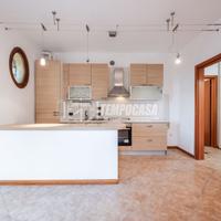 BILOCALE CON GIARDINO E GARAGE