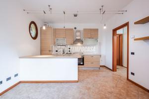 BILOCALE CON GIARDINO E GARAGE