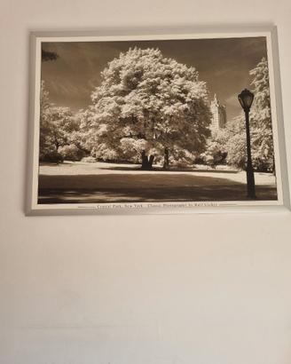 Quadro Dim  120x 90  soggetto 'Central Park'