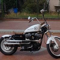 Harley-davidson 883 Sportster XL Custom