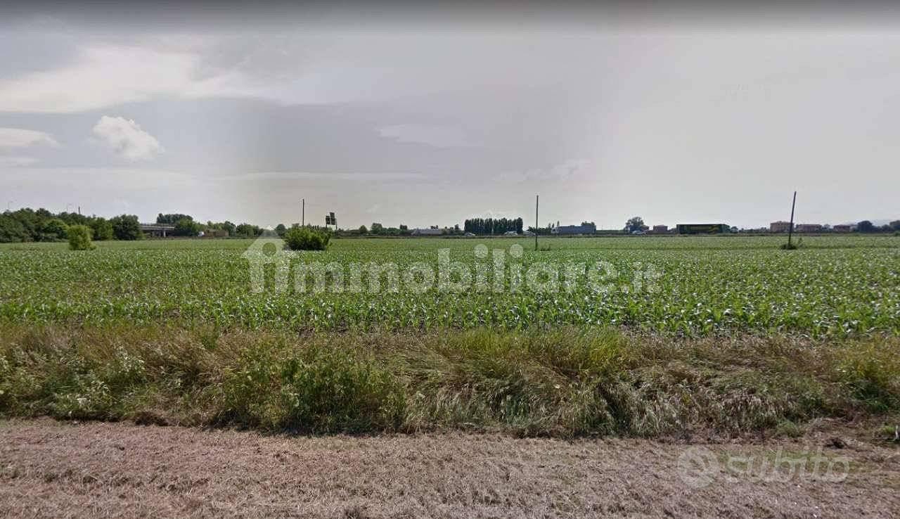 Reggio Emilia Prato fontana terreno agricolo - Vista 2