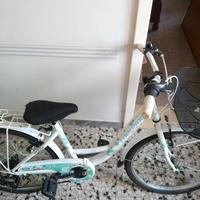 Torpado Kelly 24" (modello T611). 