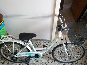 Torpado Kelly 24" (modello T611). 